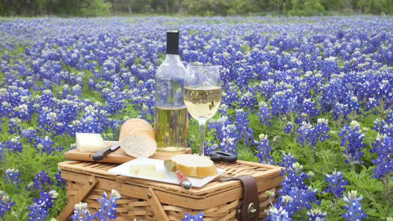Texas-Made Wines